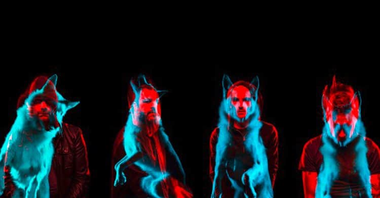 Wolves 1