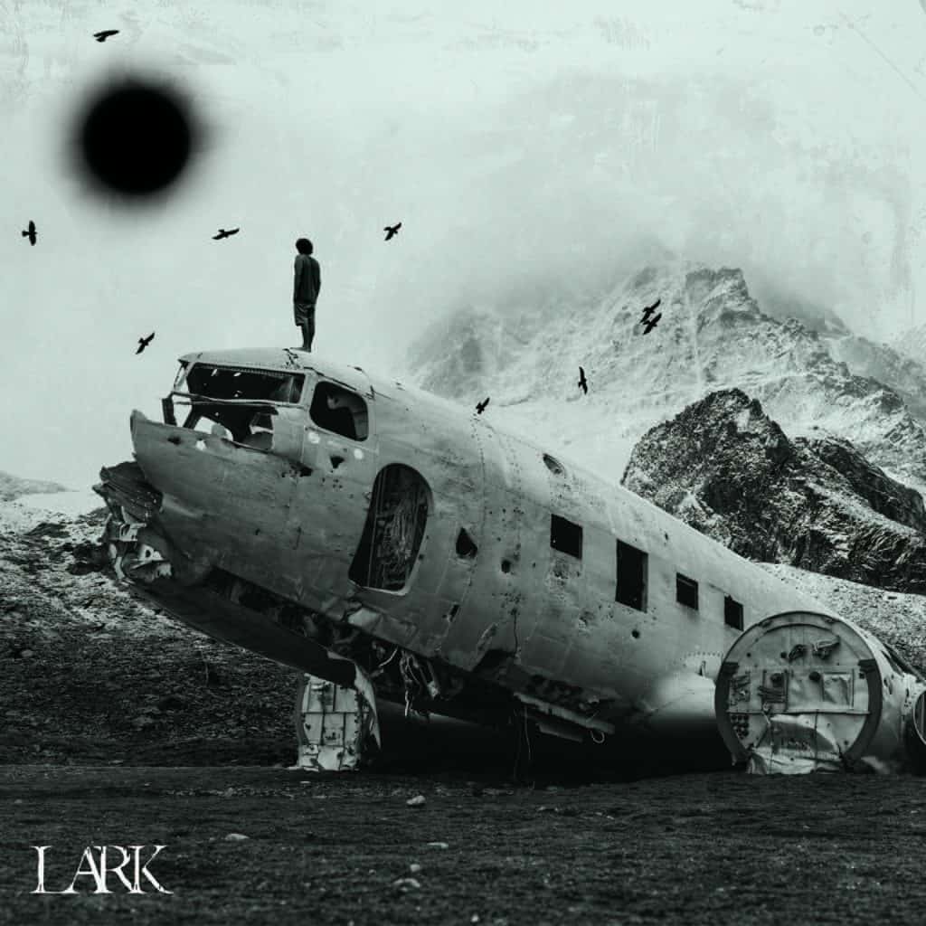 Lark 2