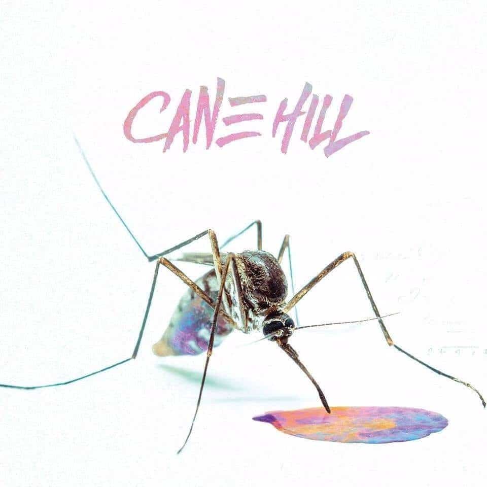Cane Hill 1