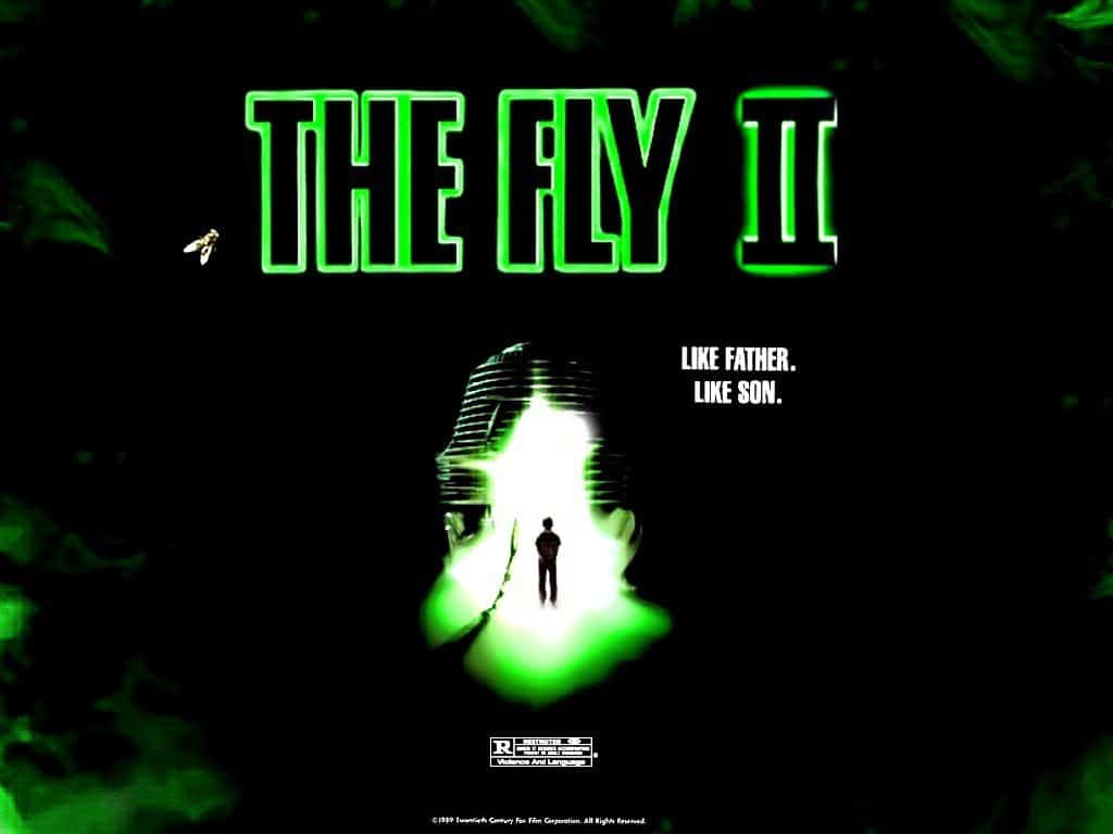 Fly II 1