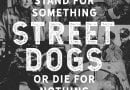 Street Dogs 1