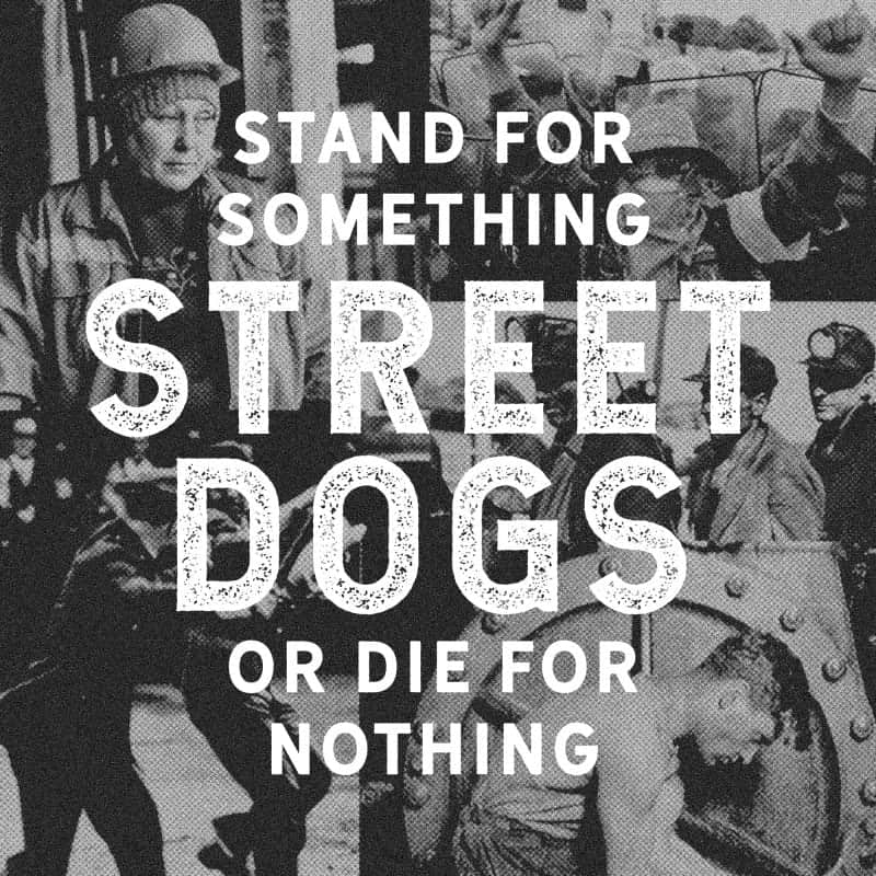 Street Dogs 1