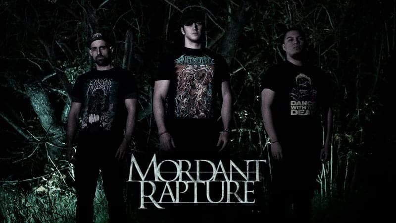 Mordant Rapture 2