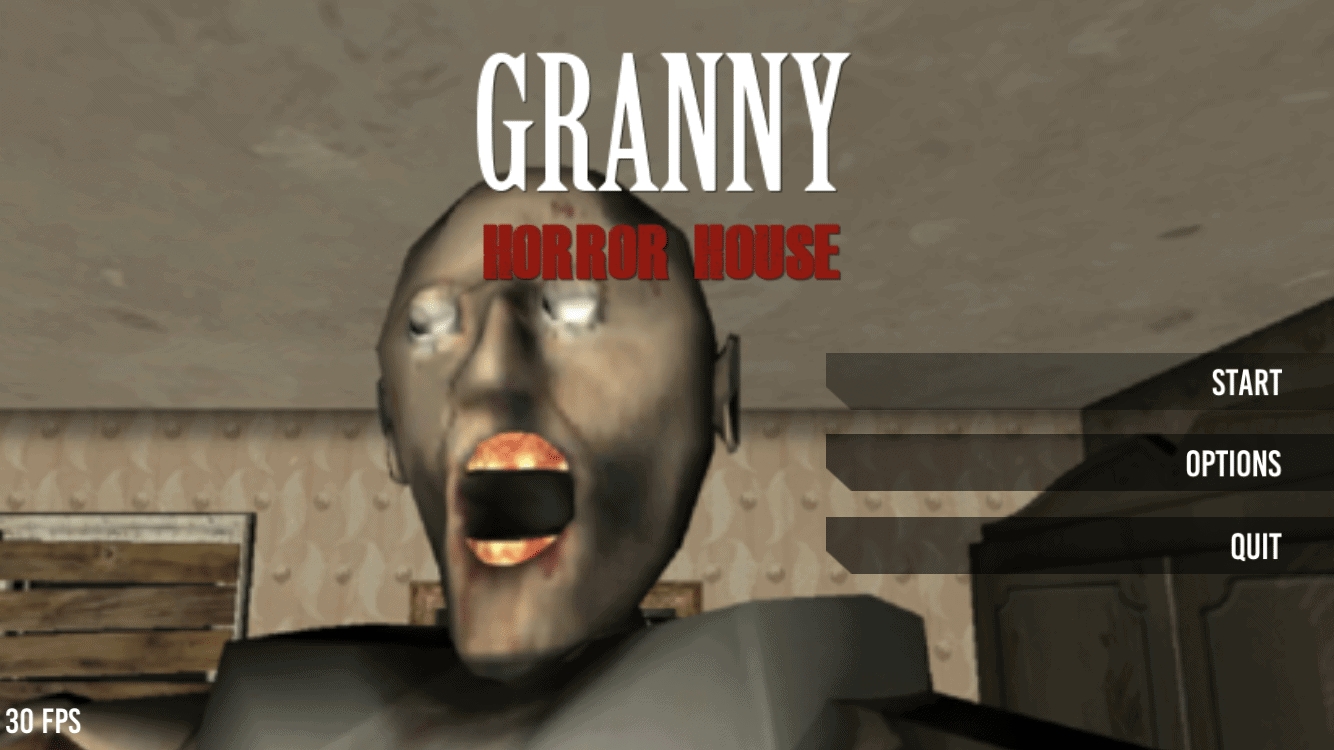 granny the video game