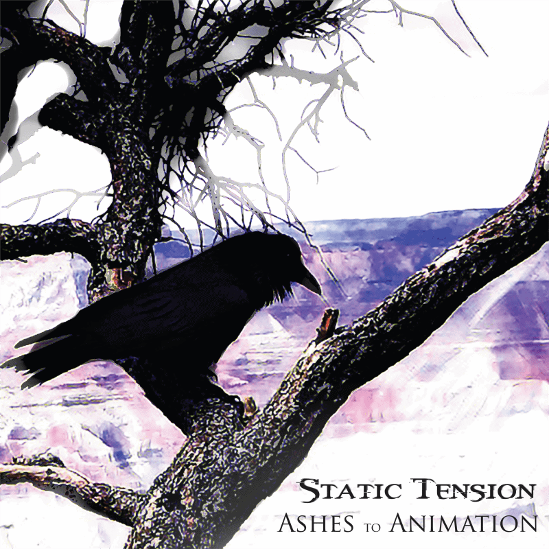 Static Tension 1