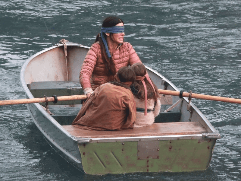 Bird Box