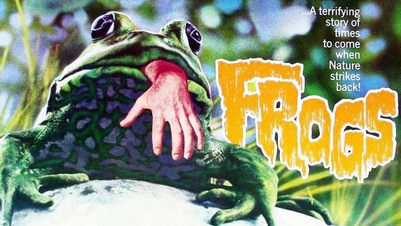 Frogs 1