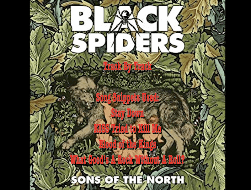 Black Spiders 1