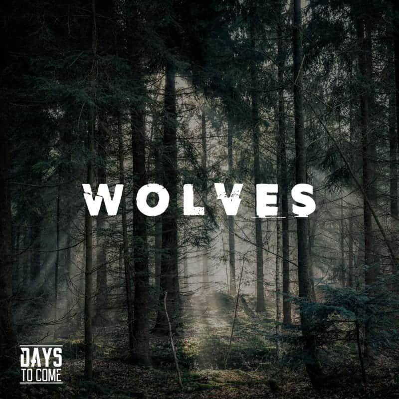 Wolves 2