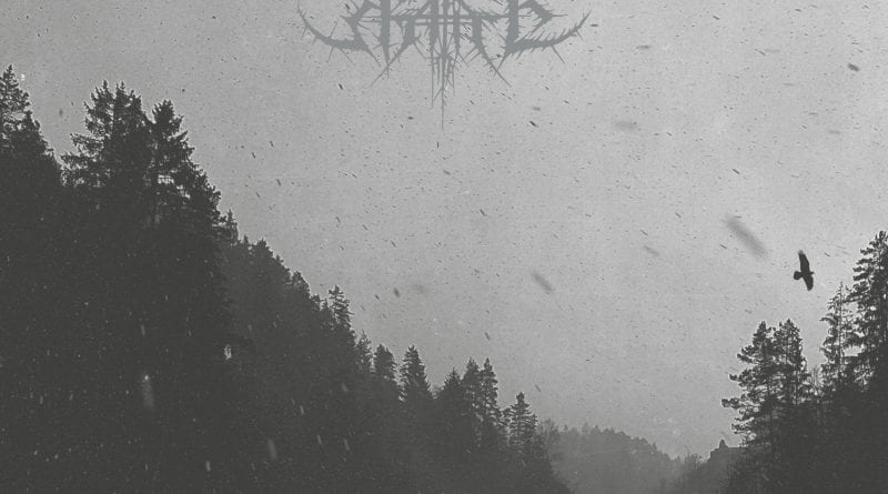 Album Review: Total Hate - Throne Behind A Black Veil (Eisenwald ...