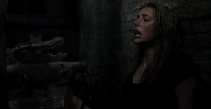 Crawl discount 2019 123movies