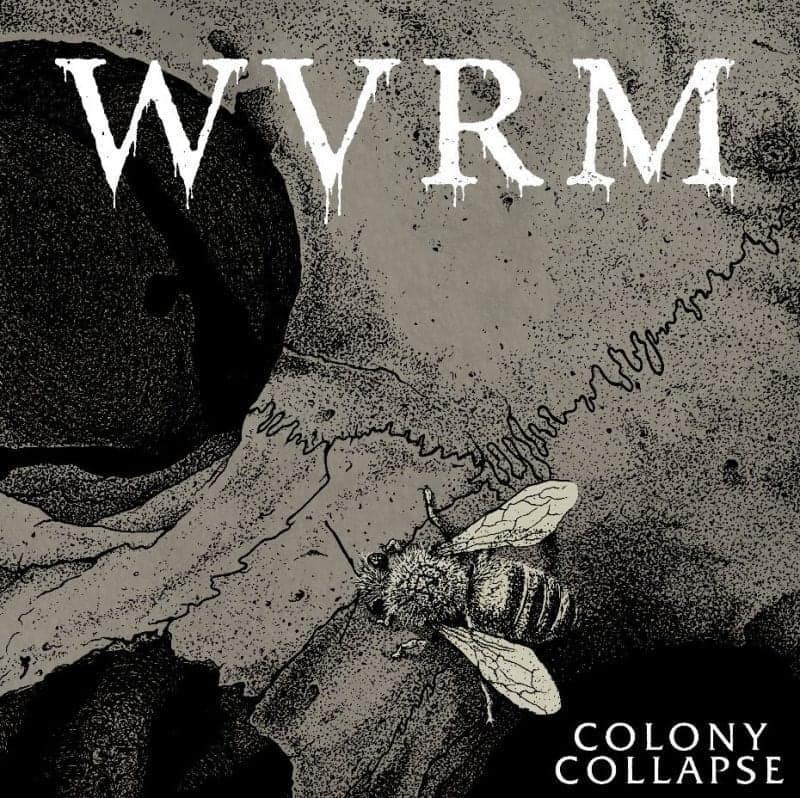 Colony Collapse WVRM